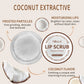 Fruit Lip Scrub Balm