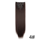 WIGSIN Seamless Clip-In Extensions