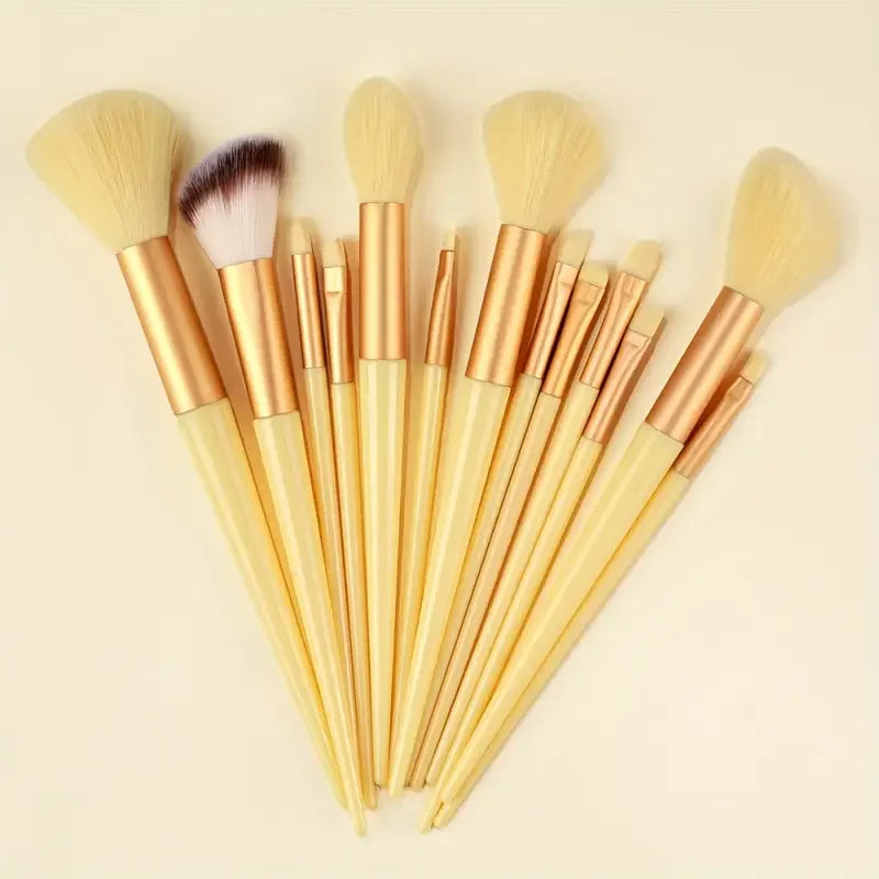 13 Piece Makeup Brush Set