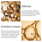 Moisturizing Crystal Eye Patches