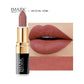IMAGIC 12 Color Matte Lipstick