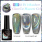 Iridescent Magnetic Cat-Eye Gel