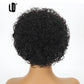 Brazilian Curly Pixie Lace Wig