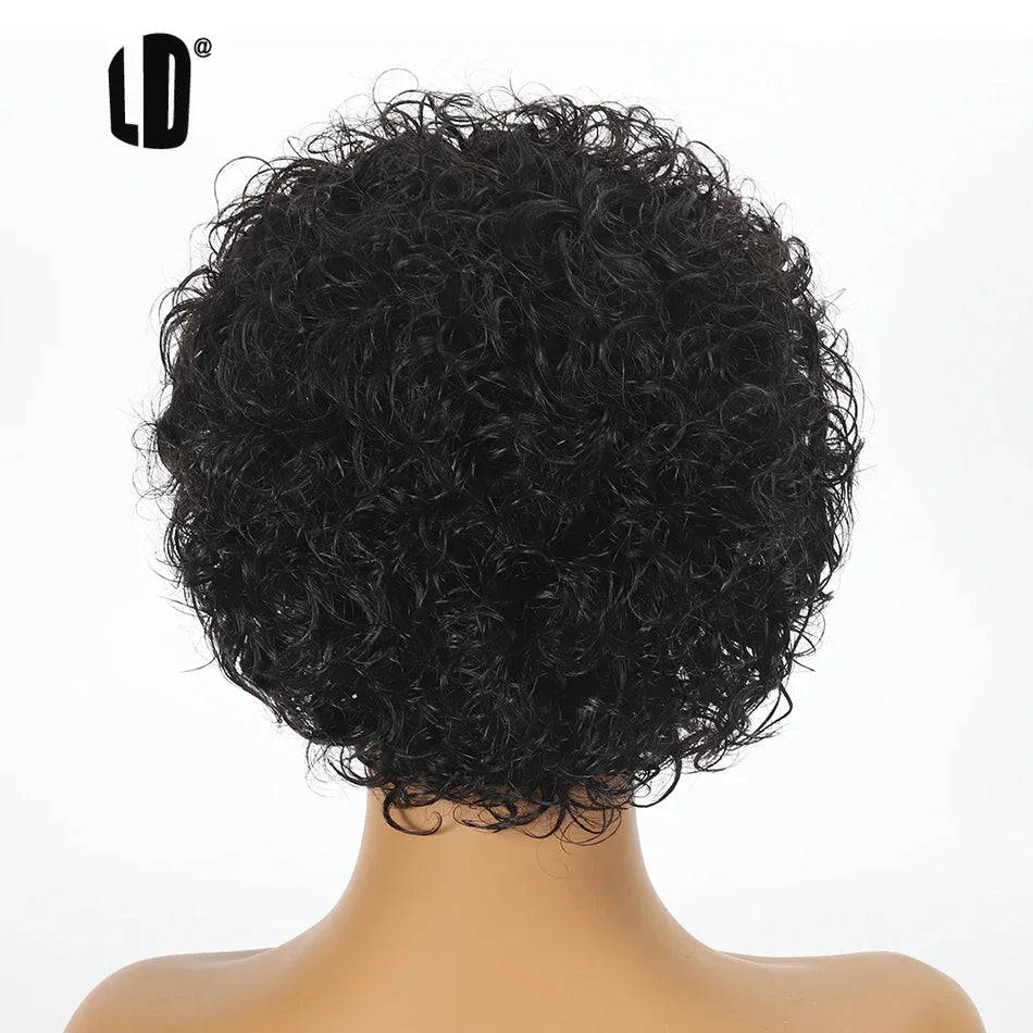 Brazilian Curly Pixie Lace Wig