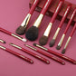 CHICHODO Animal Hair Makeup Brush