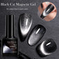 Iridescent Magnetic Cat-Eye Gel