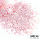 Holographic Nail Glitter Sequins