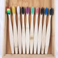Ten-Piece Bamboo Toothbrush Set